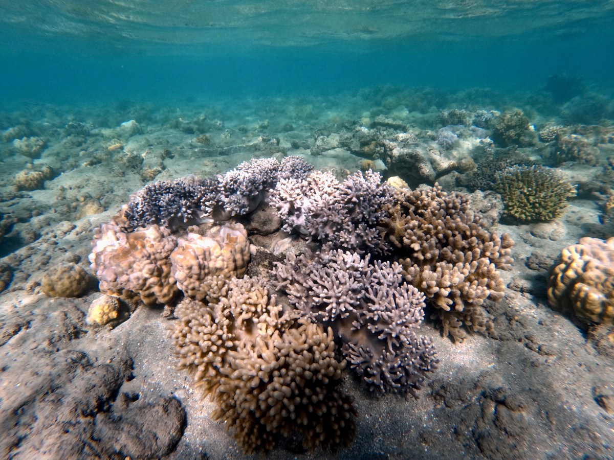 Marie visiting us in&nbsp;Fiji