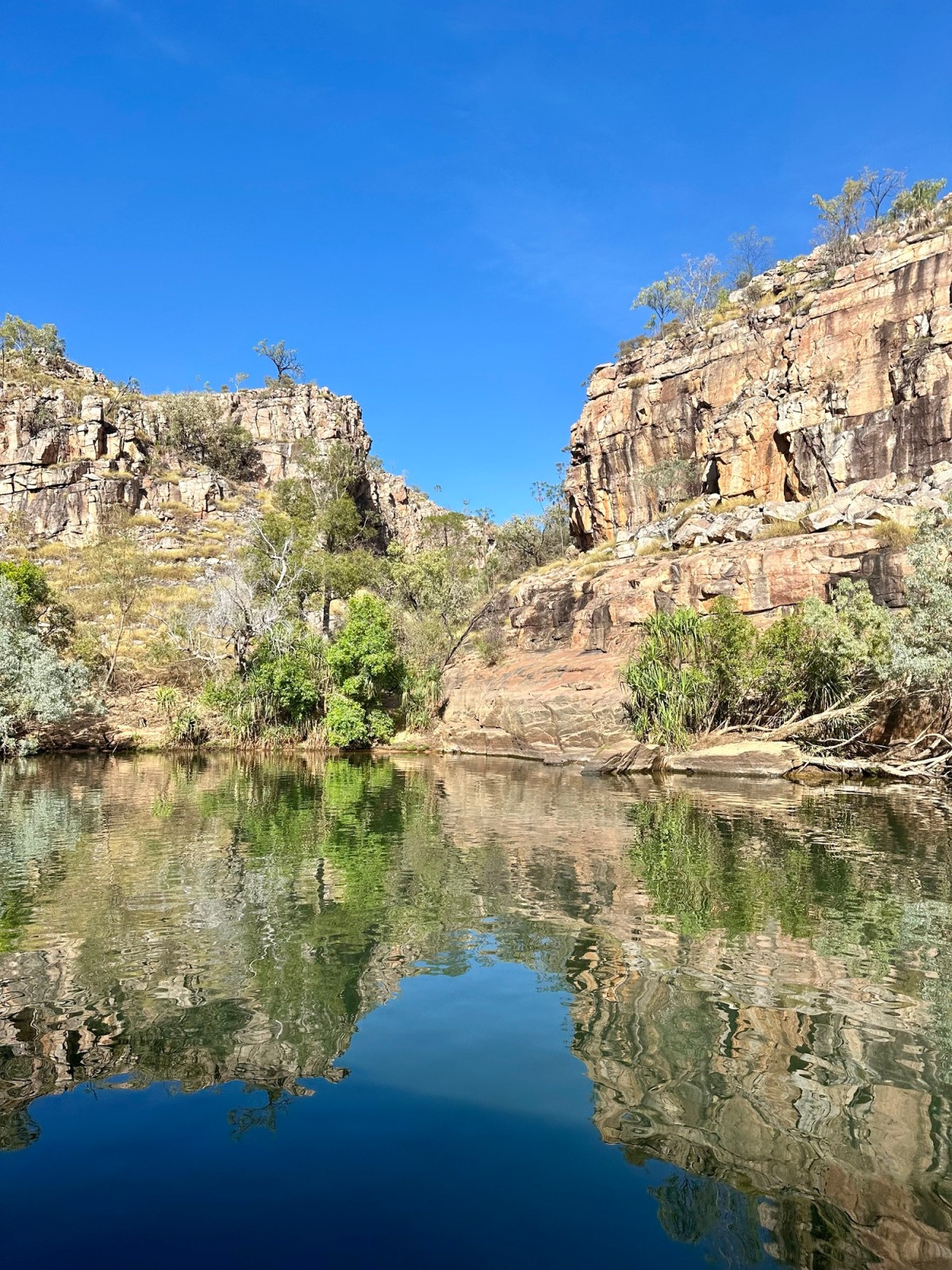 Darwin                           part 2