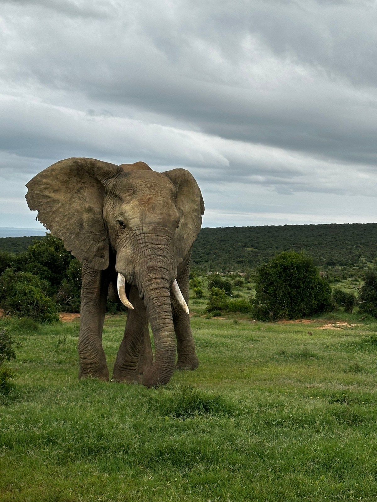 Port Elisabeth to Cape&nbsp;Town